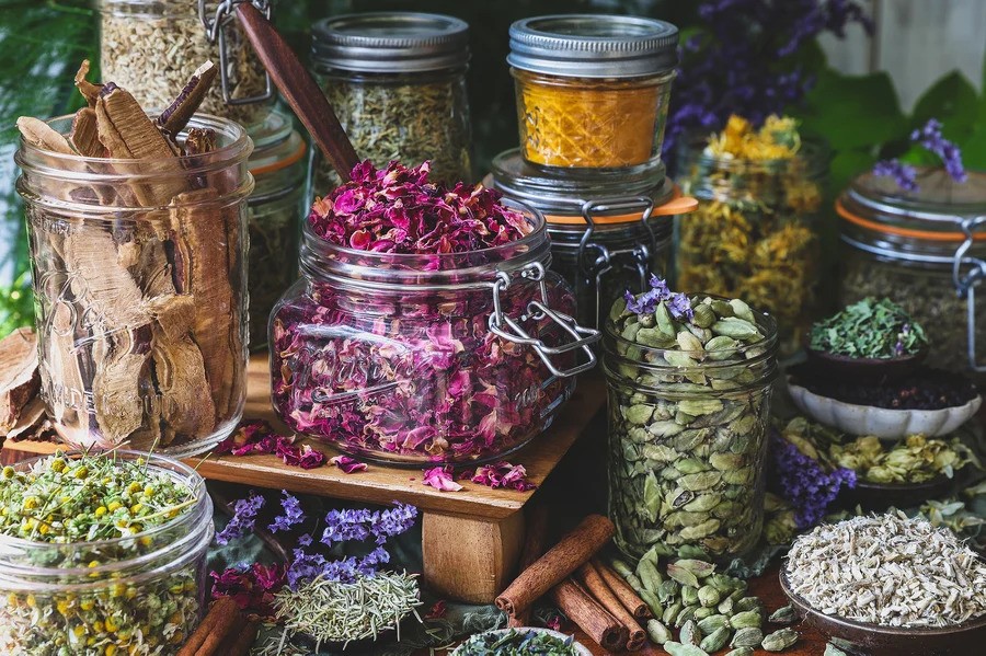 Winter Wellness Herbal Remedies
