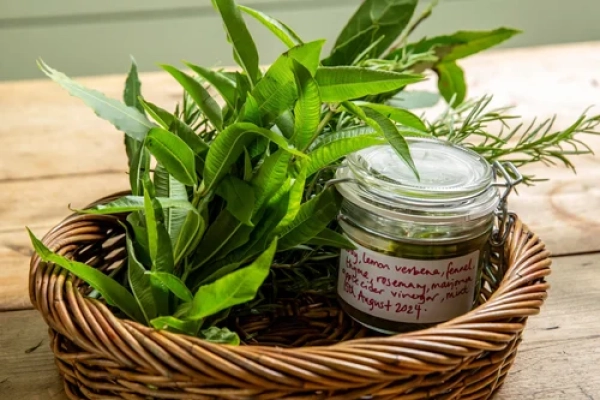Herbal Remedies